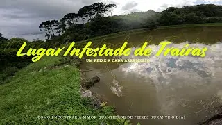 ESSE DIA ENTROU PRA HISTÓRIA | Muito Peixe, Dica e PORRADA na superfície!