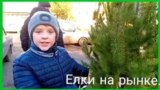 Домик - шкатулка под металл,цена елок на рынке,елка в Полтаве.