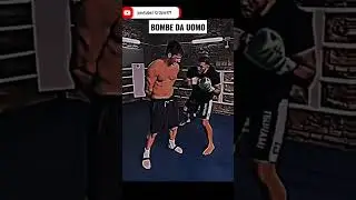 don ali vs alex stana allenamento, per lo scontro finale #donali #stana #scontro #beatdown #rissa