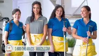 Mr. Clean Exclusive Partners ✨ The Maids in Northwest Arkansas