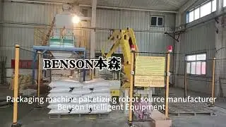 Шарнирные роботы для поддонов и подачи#palletizing #factory #robot