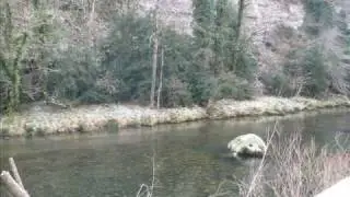 la rivière Bourne, avec ses truites farios et ses ombres communs