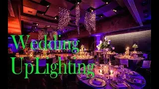 Wedding Uplighting & Event Lighting for Weddings, DJ Services by FM Event Promotions