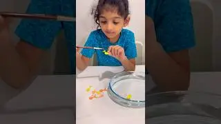 Paper Fish Swimming Experiment#kids #experiment #malayalam#fun#scienceexperiment #trendingshorts