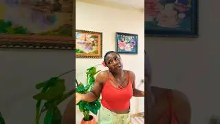 youtube shorts # #funny #memes #jokes #comedy #viralvideo #relatable