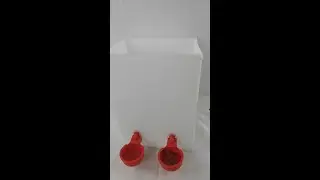 VandanCoop Chicken Water Cup With Double Bowls