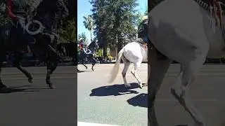 Pt. 10.  Red Bluff Roundup Rodeo Parade. More to come, Subscribe, Like, Share, 👍up