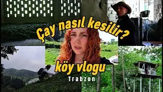 Birlikte çay kesip satalım mı? | Trabzon köy vlogu