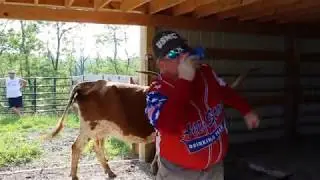 Happy Birthday America! | Billy Buck Roscoe