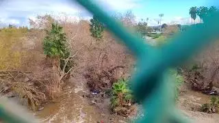 Sepulveda Flood Control Basin, Lake Balboa, Los Angeles 1/1/26