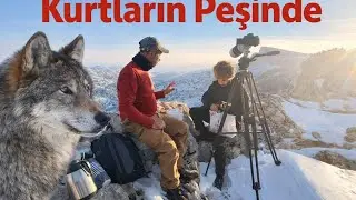 Kurtların peşinde | #kurtlar #kurt #macera #bykeskin