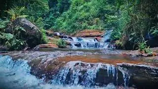 Mountain River Waterfall Flowing | Water Sounds, Nature White Noise, River Sounds for Sleeping