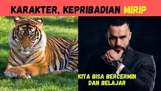 Karakter Hewan menginspirasi, Karakter Mirip Manusia