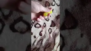 Knucklebone fidgets