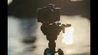 Tripod SIRUI W2204 & VH10 VIDEO-HEAD