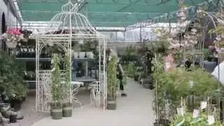 Virtual Tour of The Glasshouse Nursery & Garden Center
