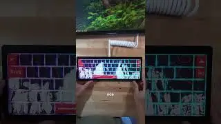 Is this Keyboard Worth $290?