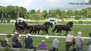 DVI 2022 Dressage: Anna Sandmann, GER