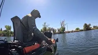 MATHER LAKE | SUMMER BASS FISHING | #bassfishing #fishing