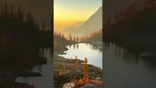 Very Beautiful 😍❤️| #viral #shortsviral #places #beautiful #garden #lake