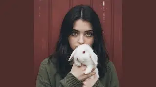 Conejo blanco