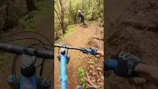 Cable Bay Adventure Park - raw videos stitched together