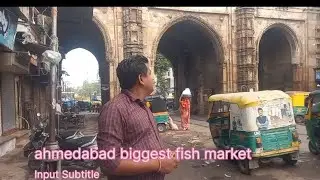 ahmedabad biggest fish market