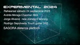Experimental 2024