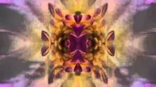010wise - Spring Symphony