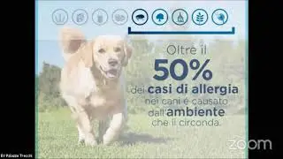 Dermatite atopica nel cane