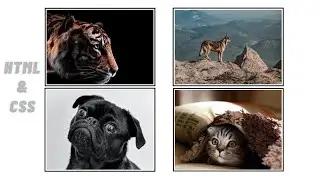 How To Insert Multiple Images In HTML | Different Way To Add Multiple Images In HTML Page