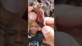 Fish Sauce with Jerky???
