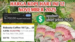Harga kopi terbaru hari ini 12 november 2025