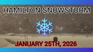 Snowstorm - Hamilton, Ontario, Canada - January 25th 2026