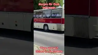 Do56 und 2 x Ikarus 250.59 f&uuml;r Euch unterwegs