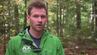 Minimize Campfire Impacts