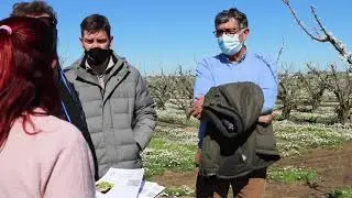 Estudio de la entomofauna | Proyecto FruitCare
