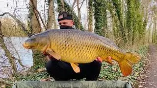 Carpe au coup session hivernale