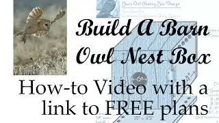 Build An Owl Nest Box | This Home-Studio