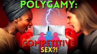 Polygamy: The Battle of the Bedrooms