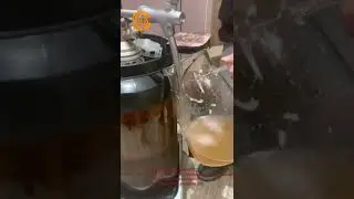 Convenient to Use Beer Keg Coupler Set