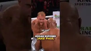 Joe Rogan Exposes Jake Paul