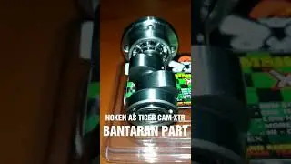 noken as TIGER cam xtr WhatsApp 0852 1949 1959