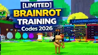 [LIMITED] BRAINROT TRAINING Codes 2026 / Roblox ! 🎮🔑