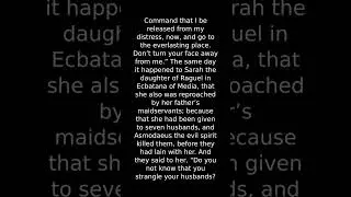 Bible - Book of Tobit - Deuterocanon - Apocrypha - Catholic - Orthodox - World English Bible WEB