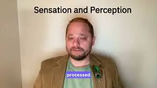 Chapter 5 &mdash; Sensation and Perception