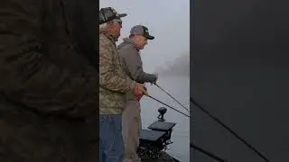 Они ХОТЯТ быть на ГРАВИИ??