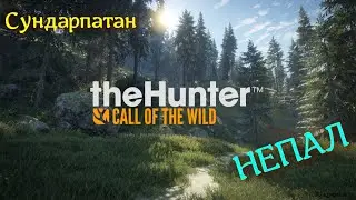 #the Hunter: Call of the Wild Непал,первый заход-золотой тигр!