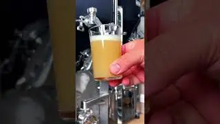 First NEIPA Sample from the Brewtools F80 unitank