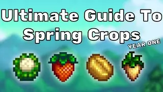 The Ultimate Spring Crops Guide - Year One